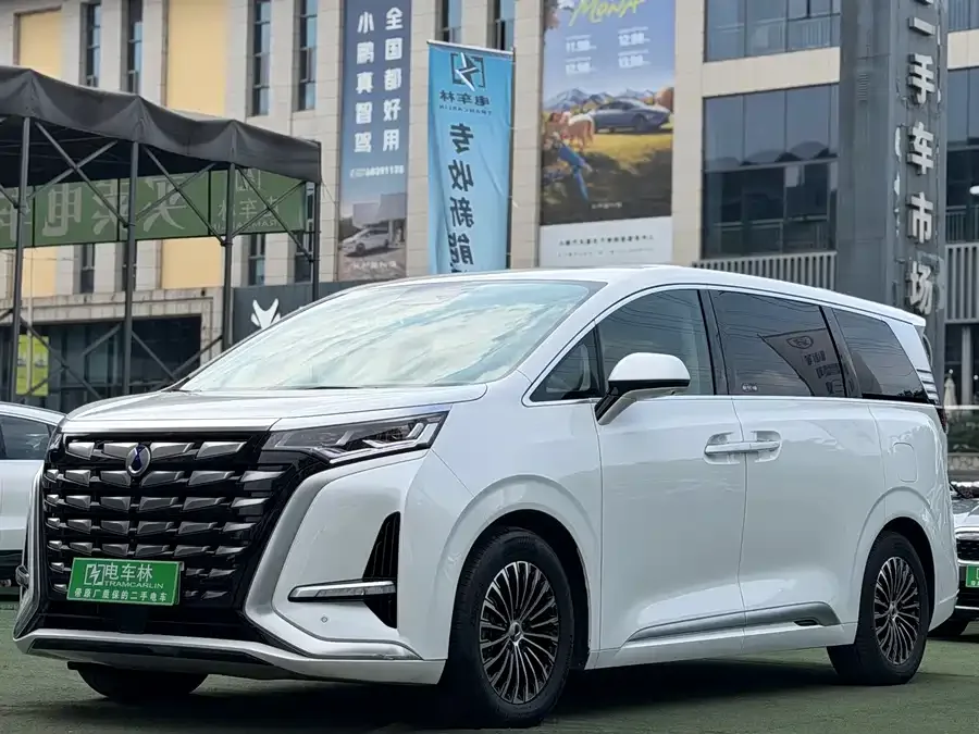 BYD D9 2023