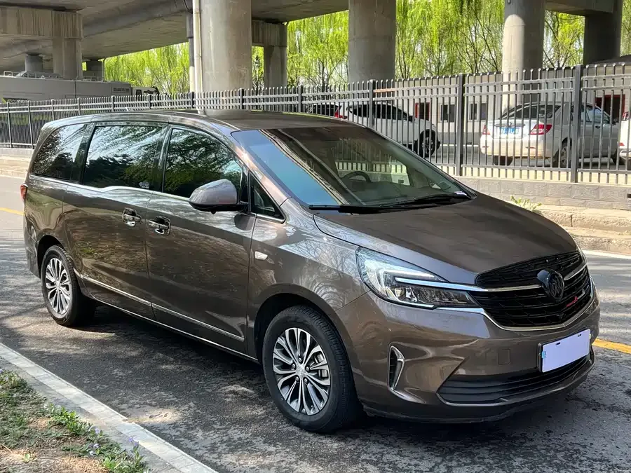 Buick GL8 2022 Land Business Class 652T Comfort Edition 2022 — миниатюра 3