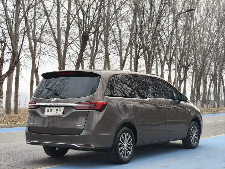 Buick GL8 2022 Land Business Class 652T Comfort Edition 2022 — миниатюра 2