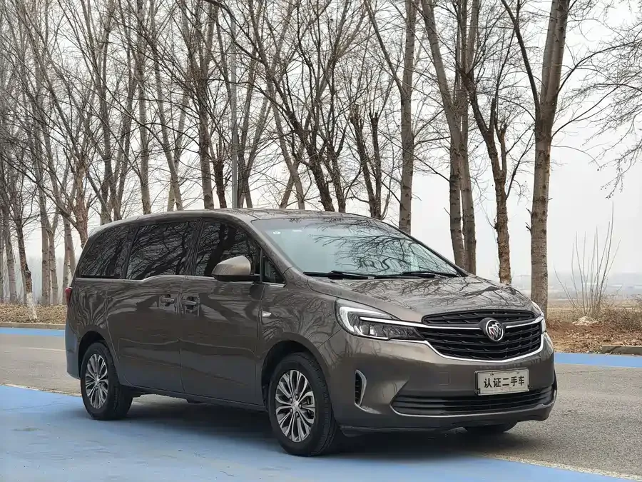 Buick GL8 2022 Land Business Class 652T Comfort Edition 2022 — миниатюра 3