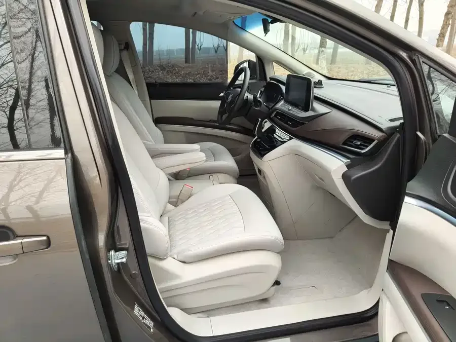 Buick GL8 2022 Land Business Class 652T Comfort Edition 2022 — миниатюра 5