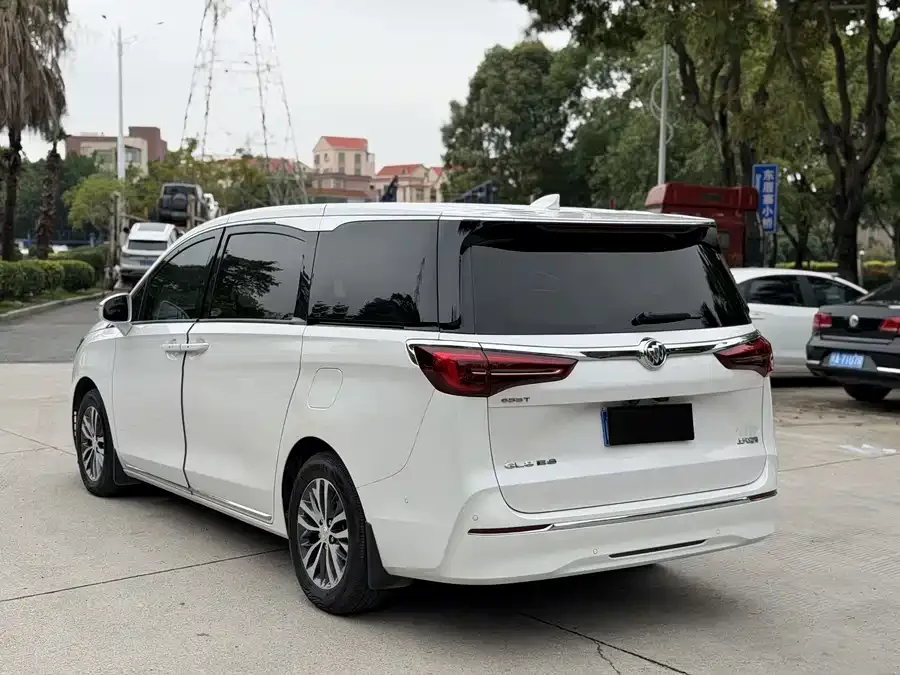 Buick GL8 2023 ES Lu Zun Premium Edition 2023 — миниатюра 3