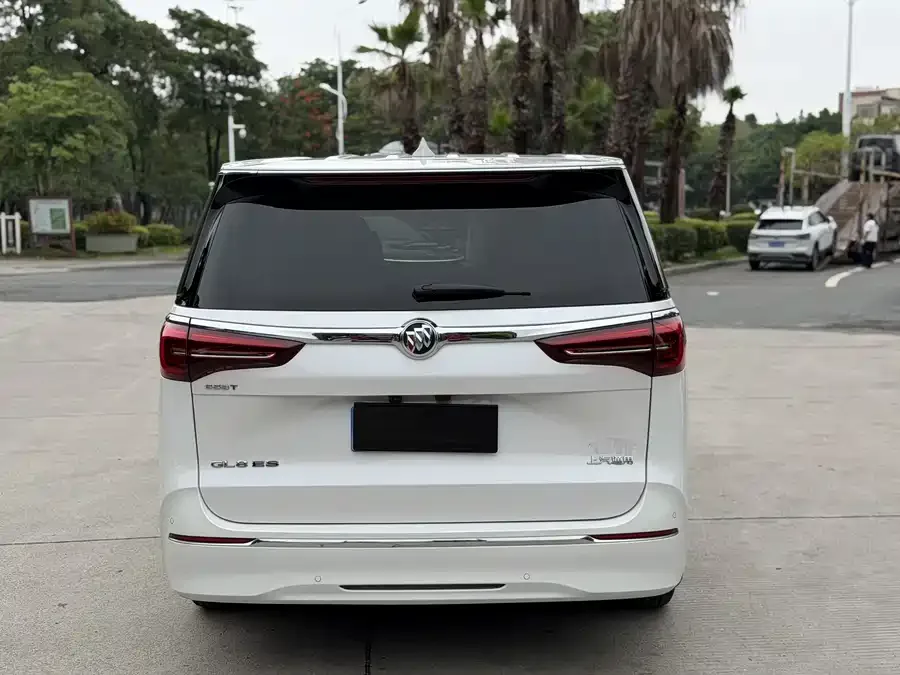 Buick GL8 2023 ES Lu Zun Premium Edition 2023 — миниатюра 5