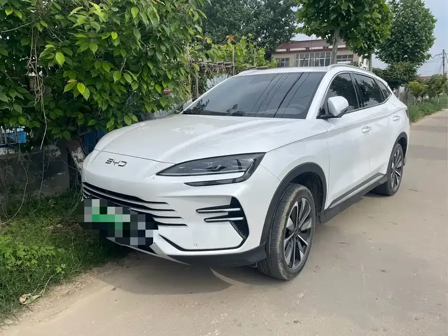 BYD Song PLUS New Energy 2024