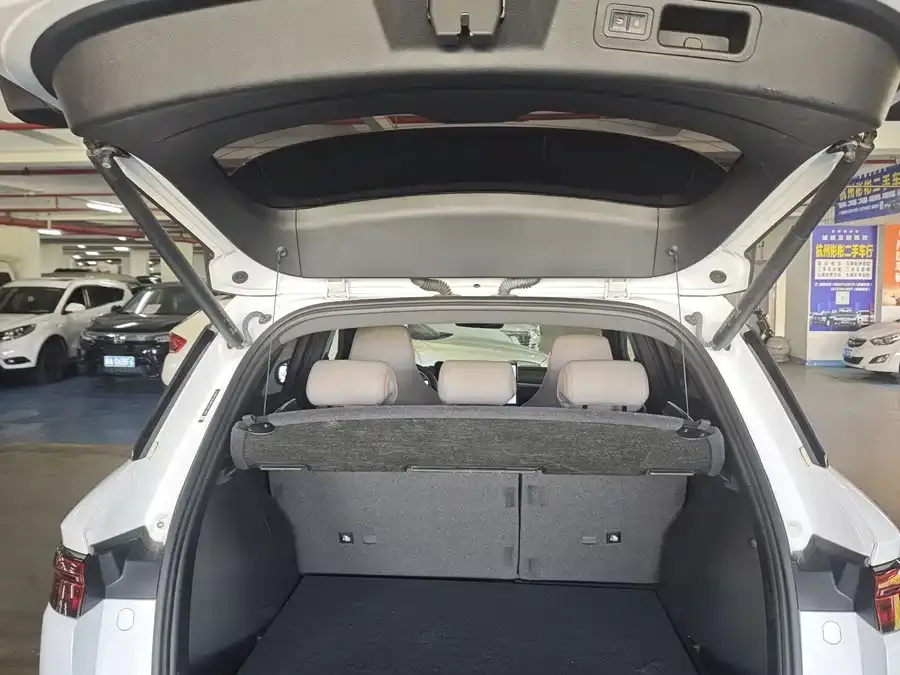 BYD Song Pro New Energy Song Pro New Energy 2023 Champion Edition DM-i 110KM Beyond Edition 2023 — миниатюра 3