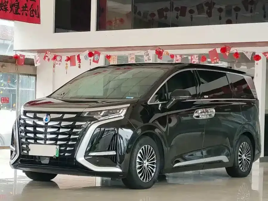 BYD D9 2024