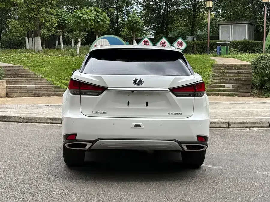 Lexus RX 2020 300 two-wheel drive elite version China VI 2022 — миниатюра 5