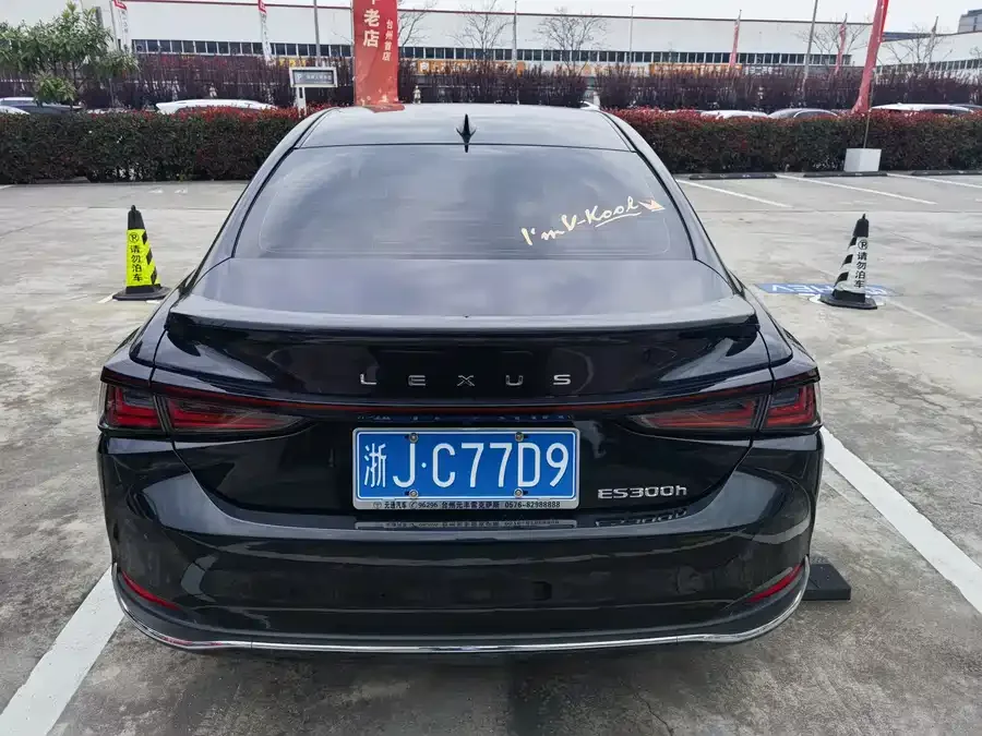 Lexus ES 2025 300h Premium Edition 2025 — миниатюра 4