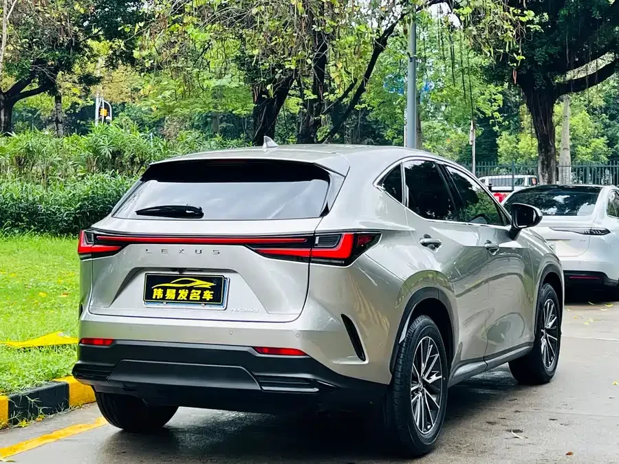 Lexus NX 2024 260 FWD Skyactiv 2024 — миниатюра 2