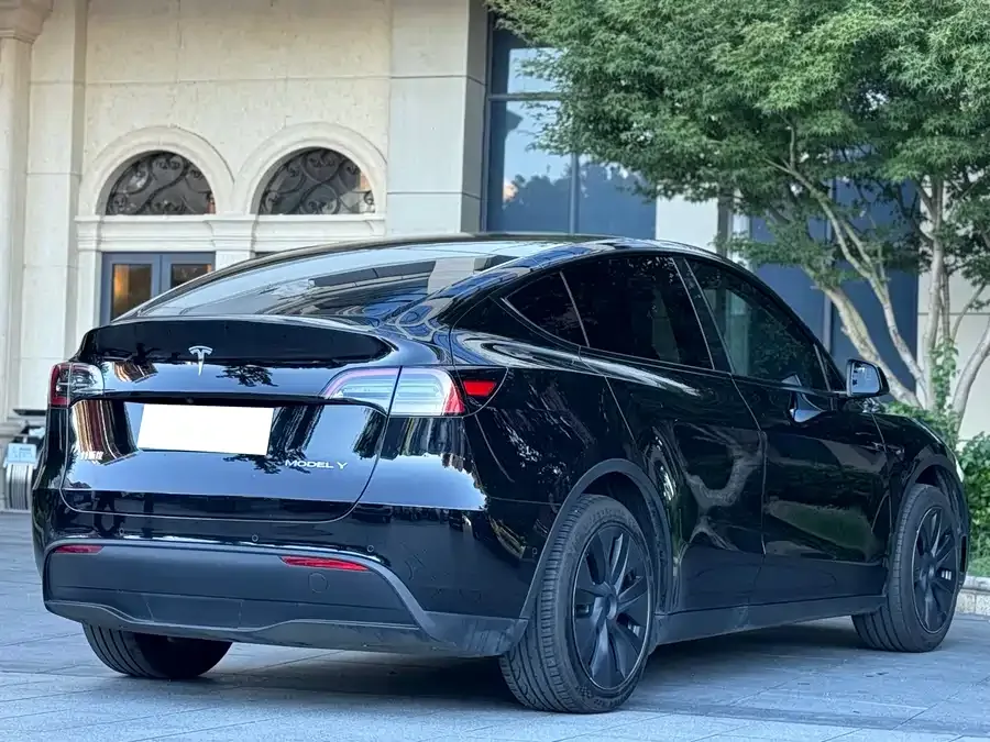 Tesla Model Y Model Y 2023 rear-wheel drive version 2024 — миниатюра 3