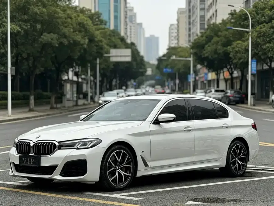 BMW 5 Series BMW 5 Series 2022 530Li Exclusive M Sport Package 2022 — фото 1, купить с доставкой в Москву