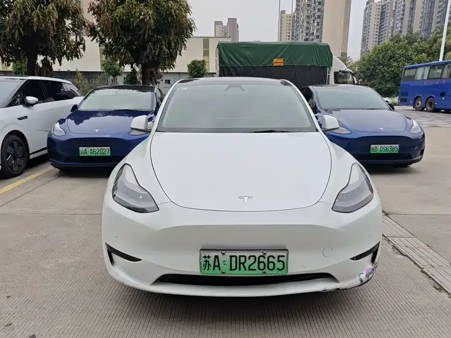 Tesla Model Y Model Y 2022 rear-wheel drive version 2023 — миниатюра 3