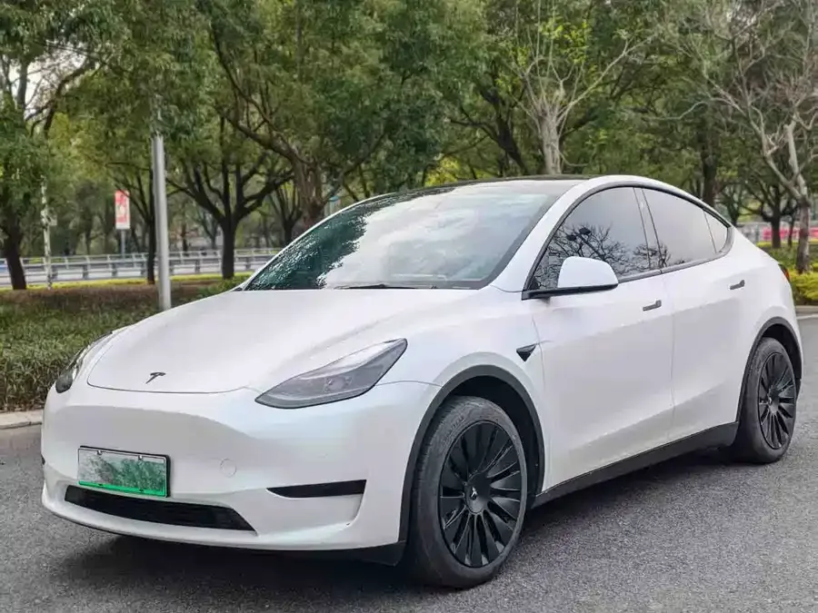 Tesla Model Y Model Y 2023 rear-wheel drive version 2024 — фото 1, купить с доставкой в Москву