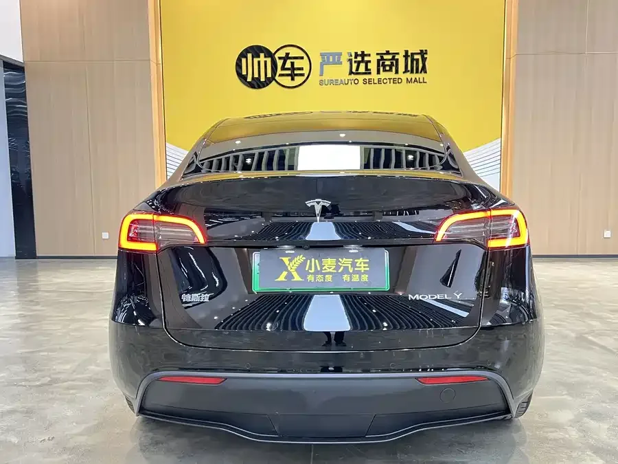 Tesla Model Y Model Y 2022 rear-wheel drive version 2022 — миниатюра 2
