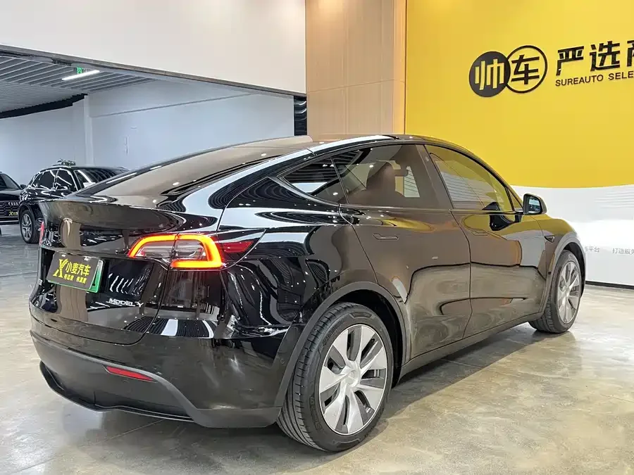 Tesla Model Y Model Y 2022 rear-wheel drive version 2022 — миниатюра 4