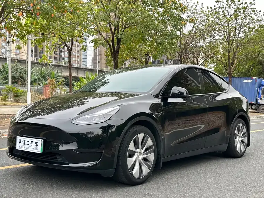 Tesla Model Y Model Y 2022 rear-wheel drive version 2022 — миниатюра 3