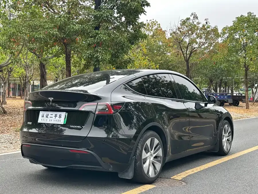 Tesla Model Y Model Y 2022 rear-wheel drive version 2022 — миниатюра 5