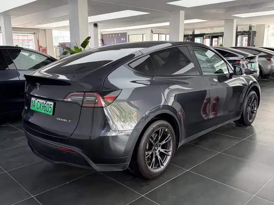 Tesla Model Y Model Y 2024 rear-wheel drive version 2024 — миниатюра 2