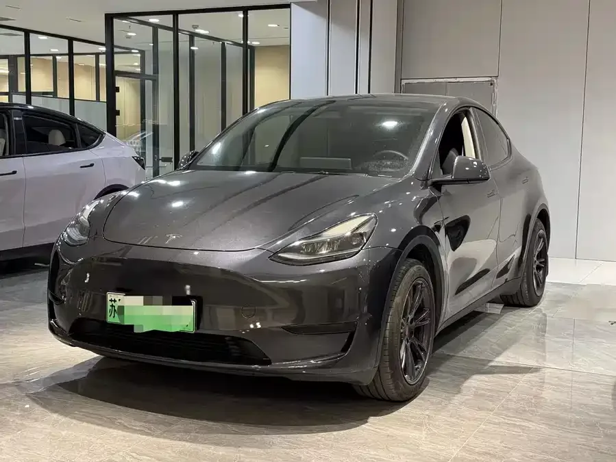 Tesla Model Y Model Y 2024 rear-wheel drive version 2024 — миниатюра 4