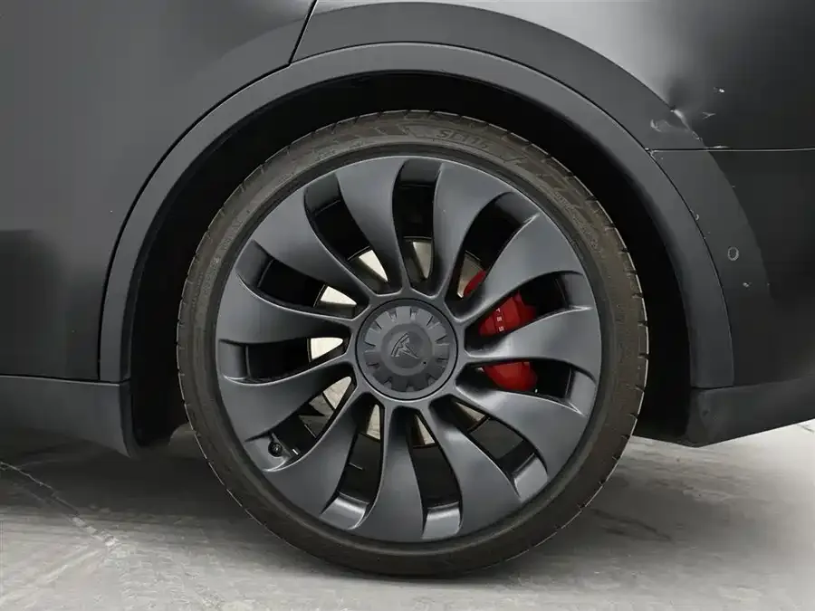 Tesla Model Y Model Y 2021 Performance All-Wheel Drive 2022 — миниатюра 3