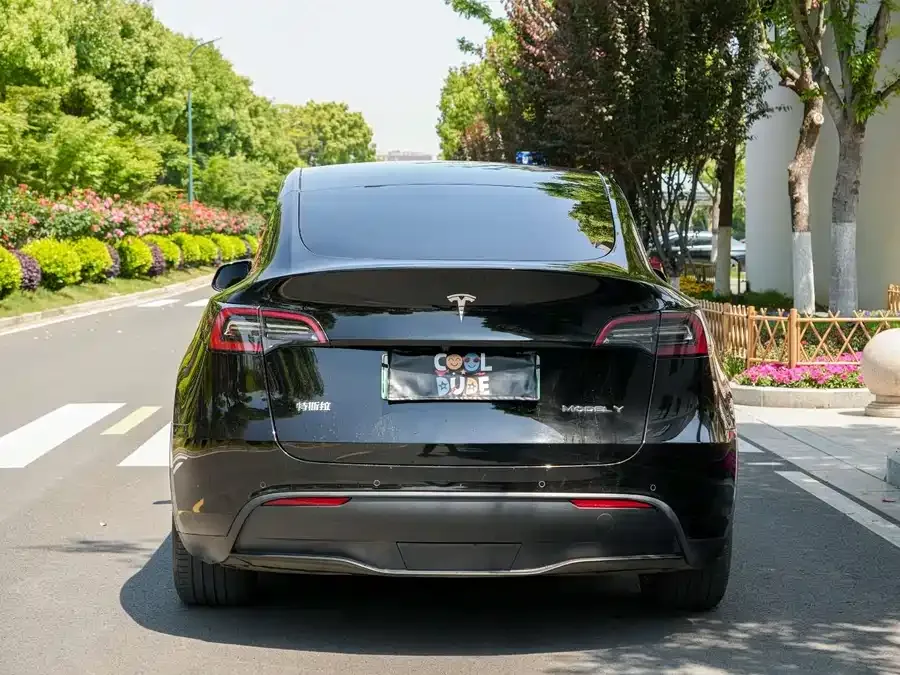 Tesla Model Y Model Y 2022 rear-wheel drive version 2022 — миниатюра 5