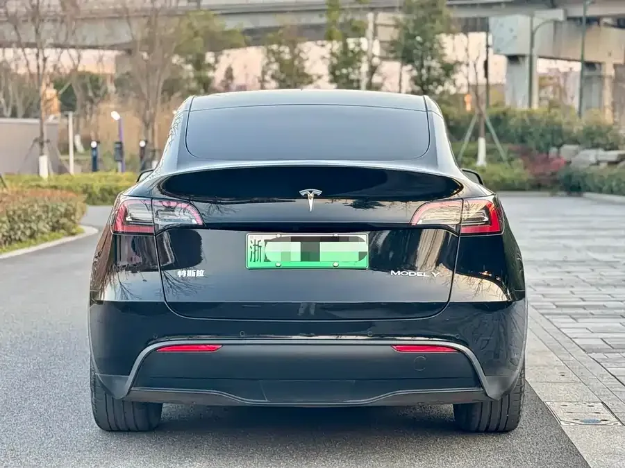 Tesla Model Y Model Y 2022 facelift rear-wheel drive version 2022 — миниатюра 2