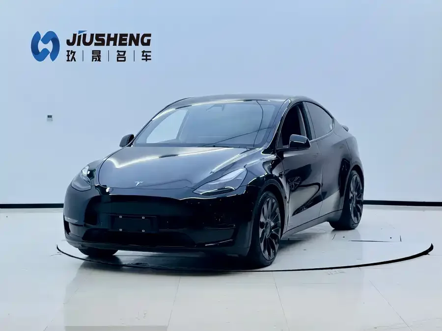 Tesla Model Y Model Y 2021 Performance All-Wheel Drive 2022 — фото 1, купить с доставкой в Москву
