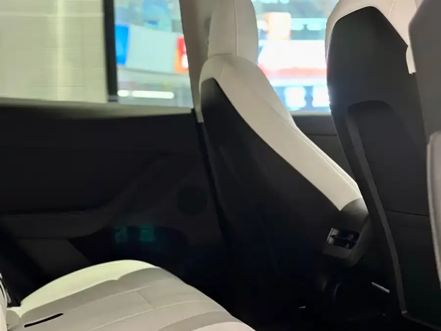 Tesla Model Y Model Y 2022 rear-wheel drive version 2022 — миниатюра 2