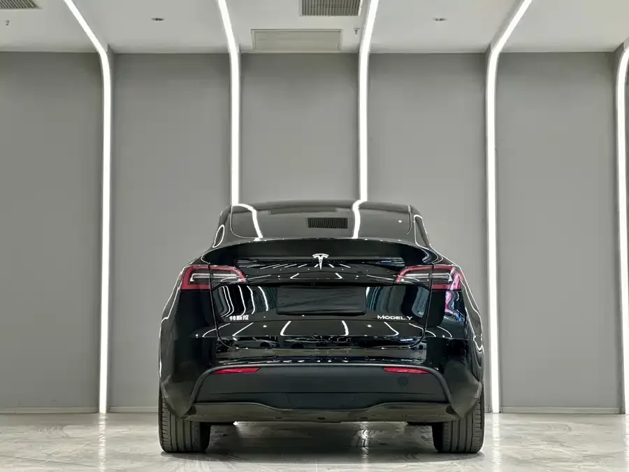 Tesla Model Y Model Y 2022 rear-wheel drive version 2022 — миниатюра 3