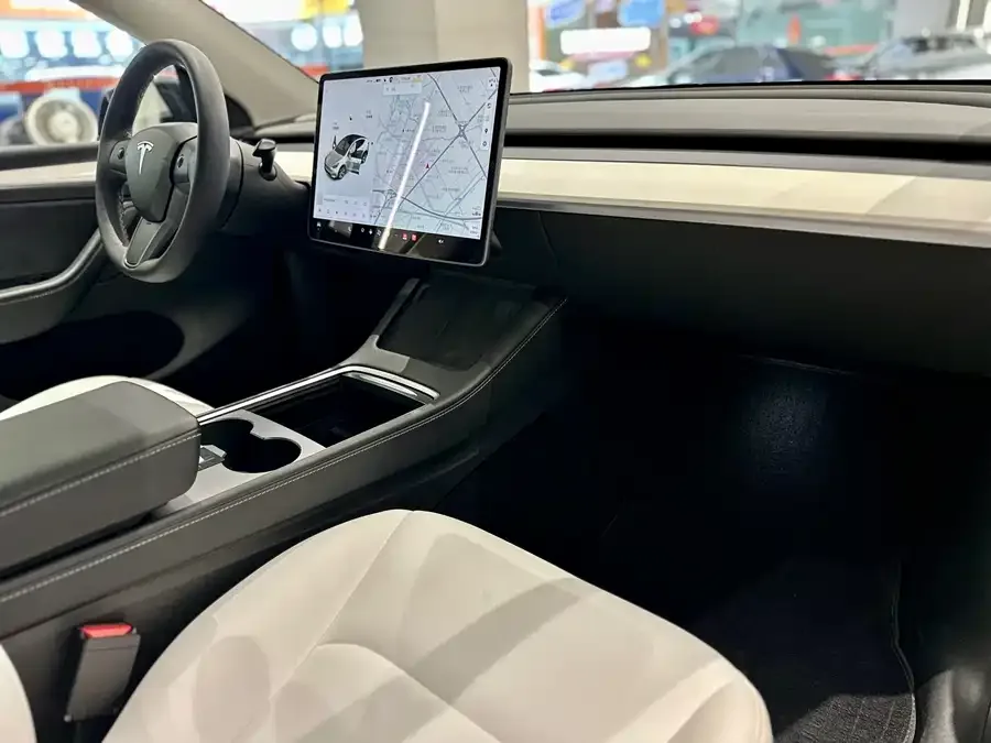 Tesla Model Y Model Y 2022 rear-wheel drive version 2022 — миниатюра 4