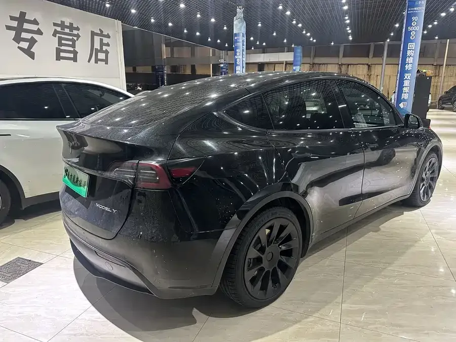 Tesla Model Y Model Y 2022 rear-wheel drive version 2023 — миниатюра 2