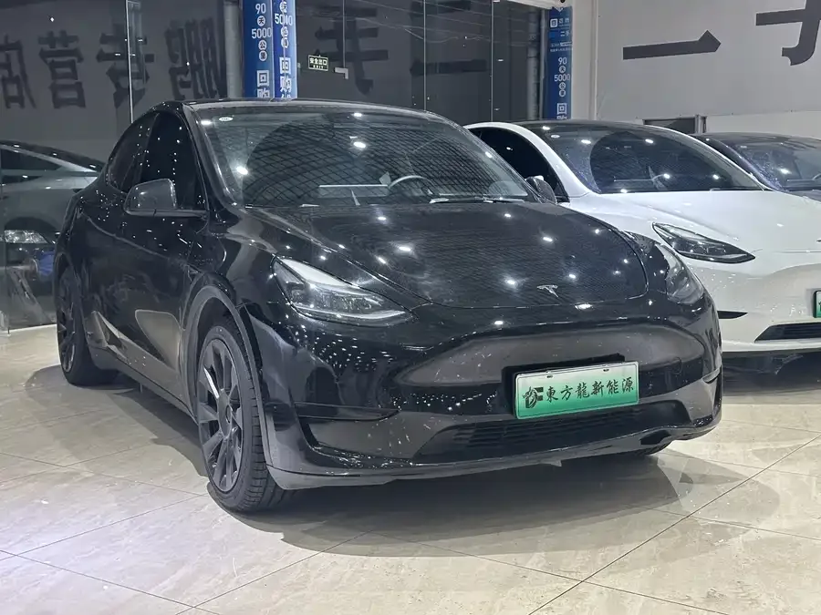 Tesla Model Y Model Y 2022 rear-wheel drive version 2023 — миниатюра 4