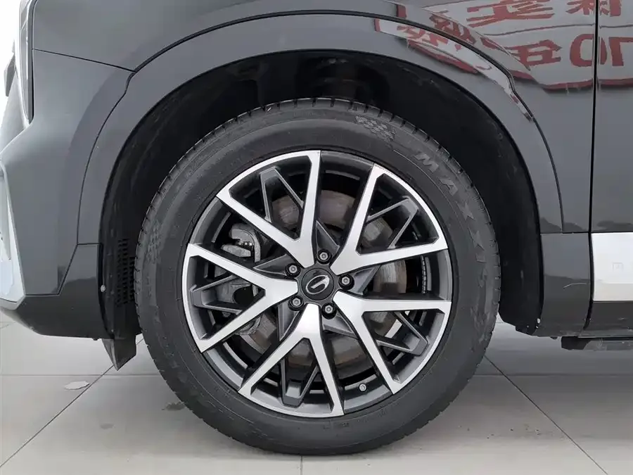 GAC Trumpchi ES9 PHEV Trumpchi ES9 2024 PHEV 143km Pro 2023 — миниатюра 5