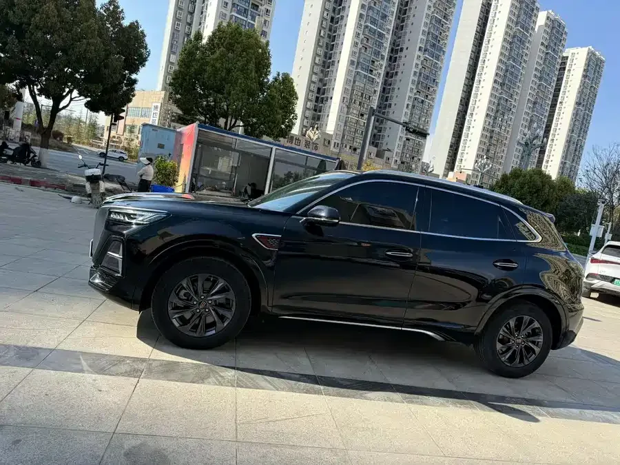 Hongqi HS5 Hongqi HS5 2023 2.0T Flagship Pro Edition 2024 — миниатюра 2