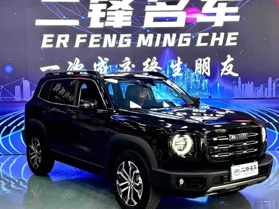 Haval Big dog Haval Big Dog 2022 1.5T DCT 2WD Border Collie Edition 2022 — миниатюра 3