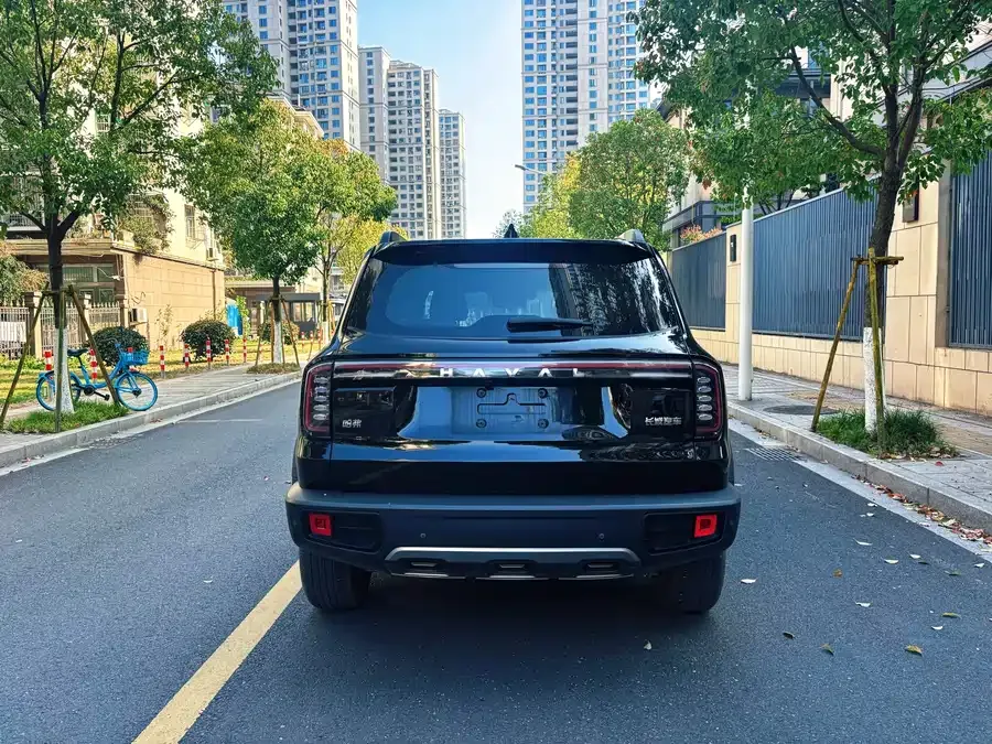 Haval Big dog Haval Big Dog 2024 1.5T DCT Border Collie Edition 2023 — миниатюра 2