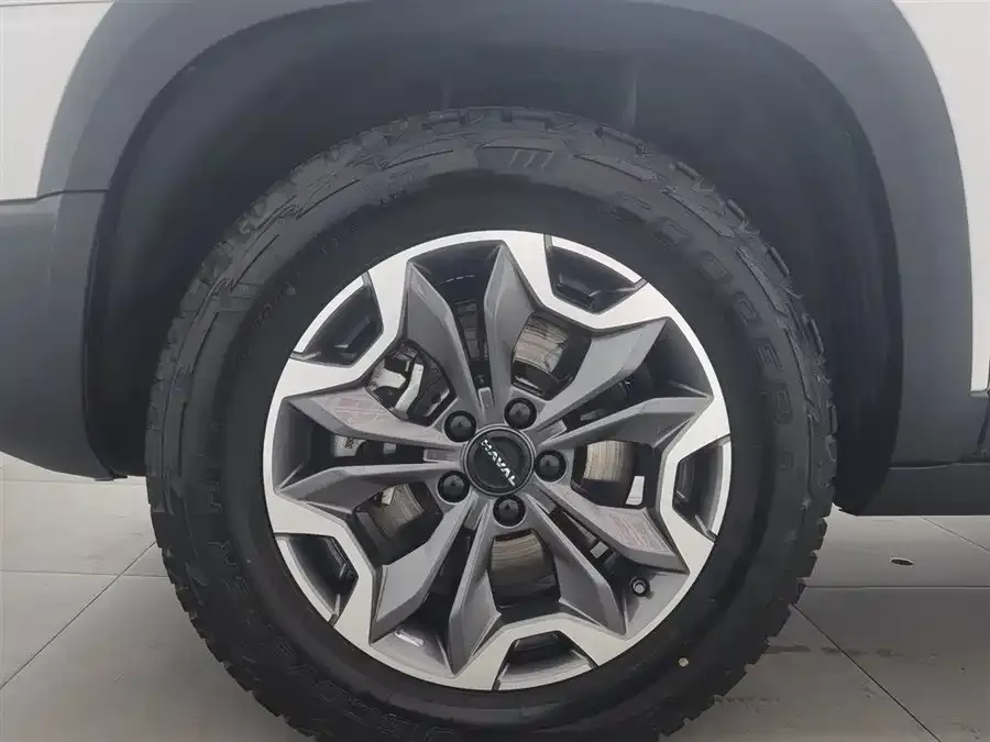 Haval Big dog Haval Big Dog 2024 2.0T DCT Chinese Pastoral Dog Edition 2024 — миниатюра 5
