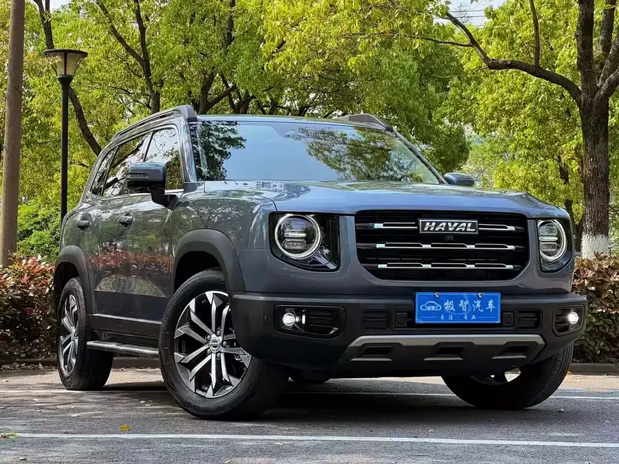Haval Big dog Haval Big Dog 2022 1.5T DCT 2WD Border Collie Edition 2023 — миниатюра 3