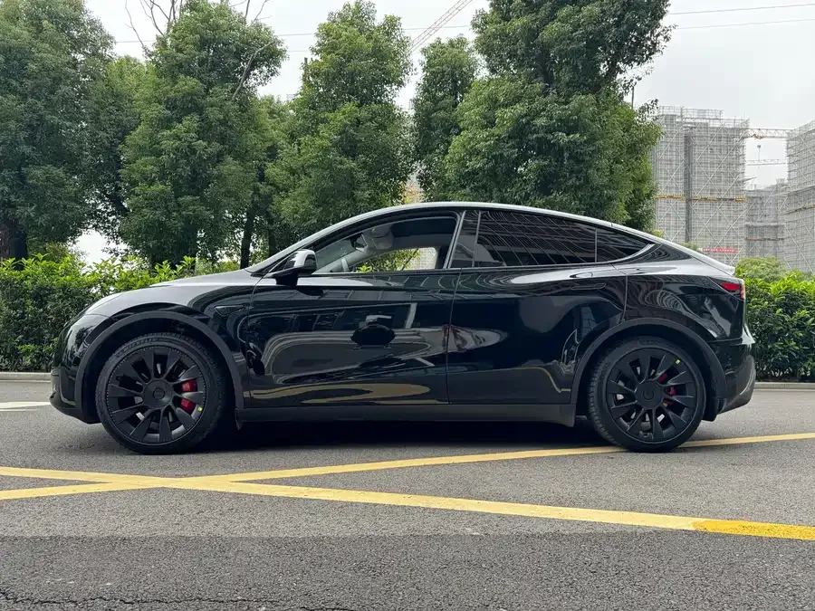 Tesla Model Y Model Y 2023 rear-wheel drive version 2023 — миниатюра 3