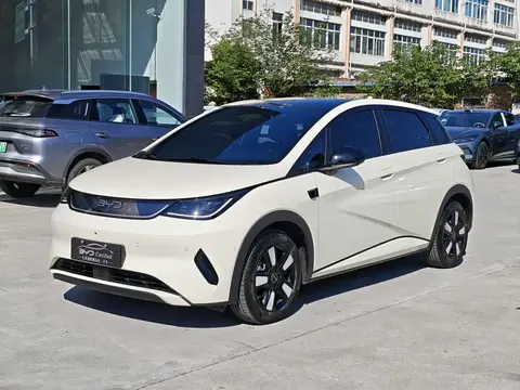BYD Dolphin 2025 buy in Moscow