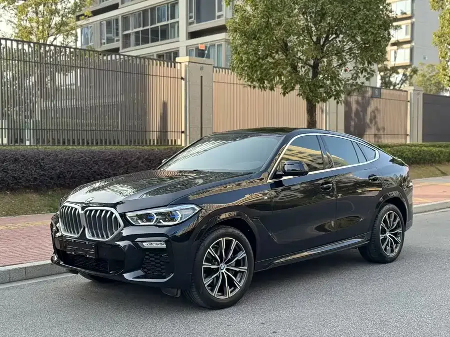 BMW X6 2022