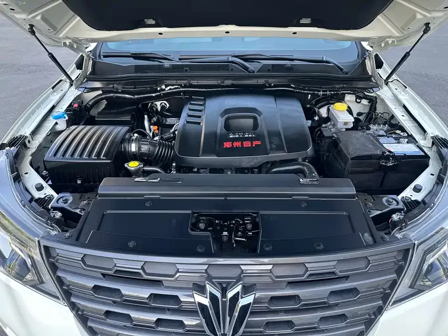 Dongfeng Paladin Paladin 2024 2.0T 4WD Premium Edition 2024 — миниатюра 3