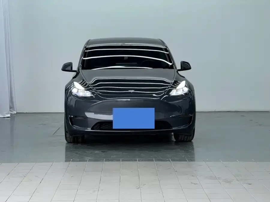 Tesla Model Y Model Y 2024 long-range all-wheel drive version 2024 — миниатюра 2