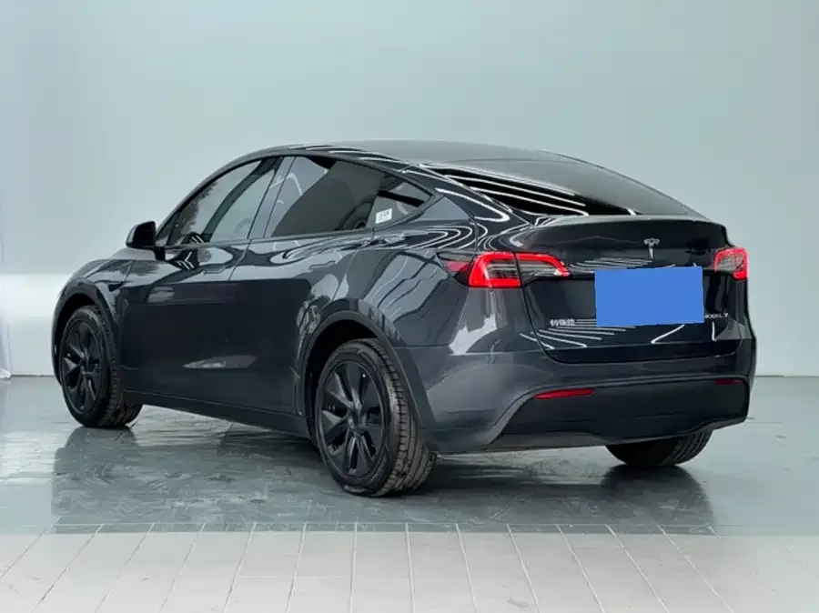 Tesla Model Y Model Y 2024 long-range all-wheel drive version 2024 — миниатюра 3