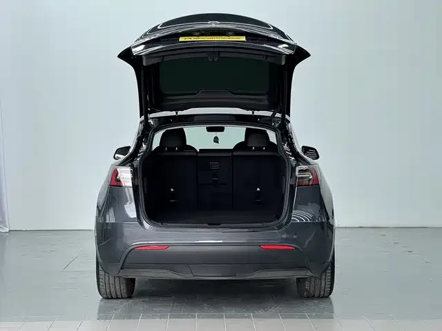Tesla Model Y Model Y 2024 long-range all-wheel drive version 2024 — миниатюра 4