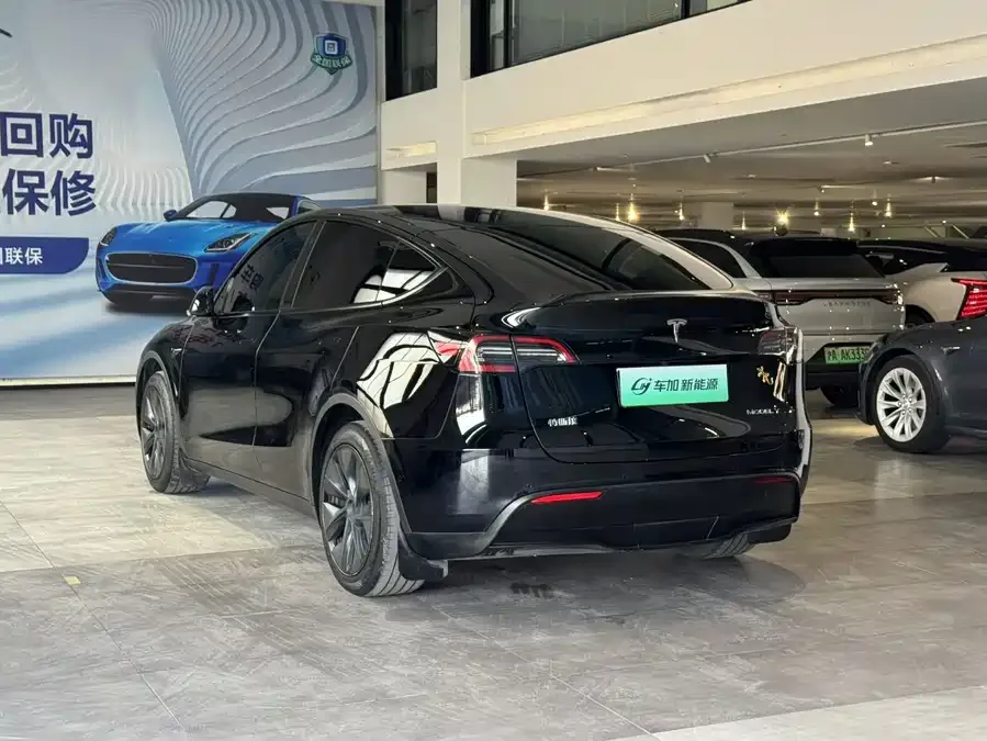 Tesla Model Y Model Y 2023 rear-wheel drive version 2024 — миниатюра 3