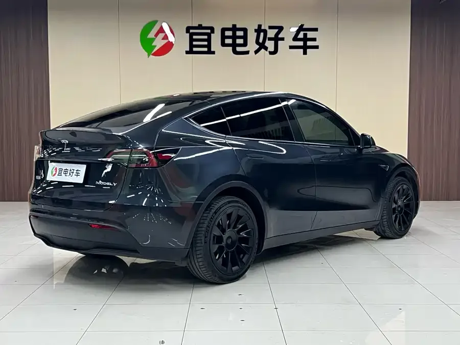 Tesla Model Y Model Y 2024 long-range all-wheel drive version 2025 — миниатюра 5