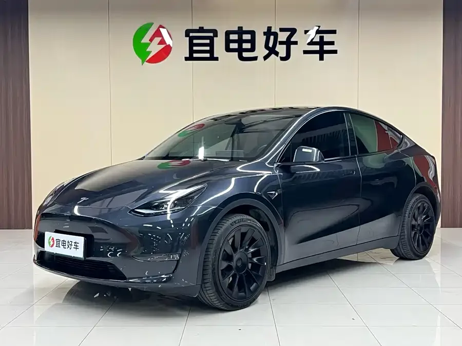 Tesla Model Y Model Y 2024 long-range all-wheel drive version 2025 — фото 1, купить с доставкой в Москву