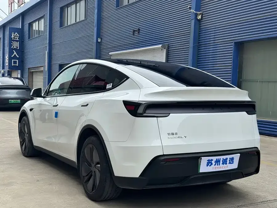 Tesla Model Y Model Y 2025 rear-wheel drive first edition 2025 — миниатюра 3