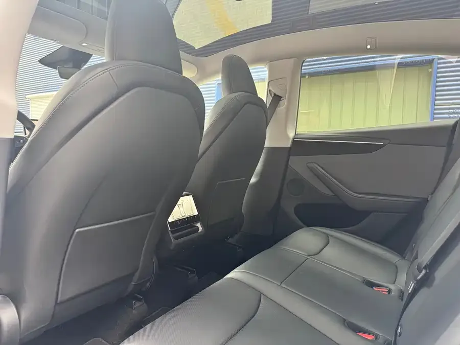 Tesla Model Y Model Y 2025 rear-wheel drive first edition 2025 — миниатюра 5
